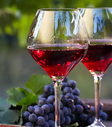 Foto de Tour privado del vino y del queso por Cerdeña