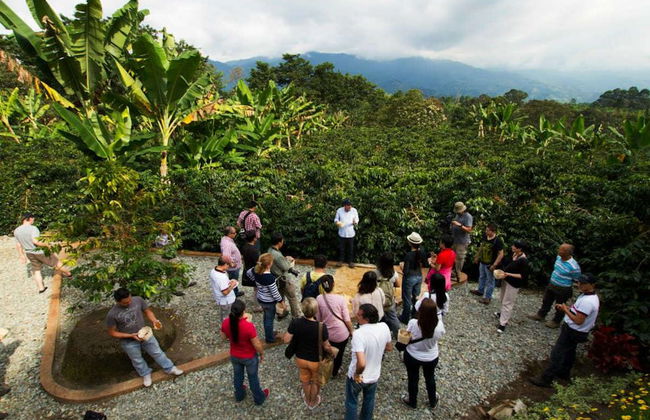 Visita à Hacienda Combia - Foto 5