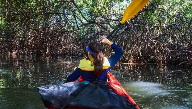 McBean Lagoon Kayak Tour - Foto 2