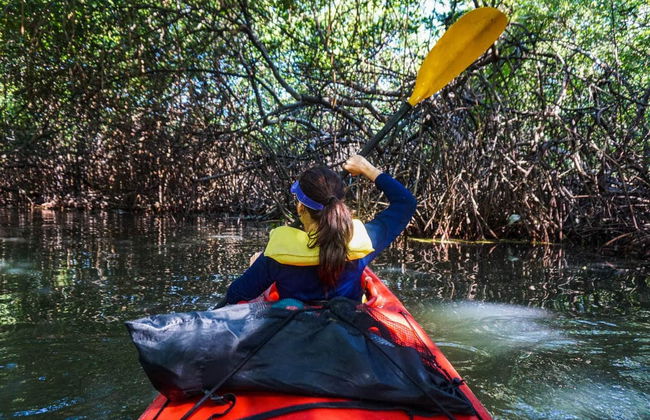 McBean Lagoon Kayak Tour - Photo 2