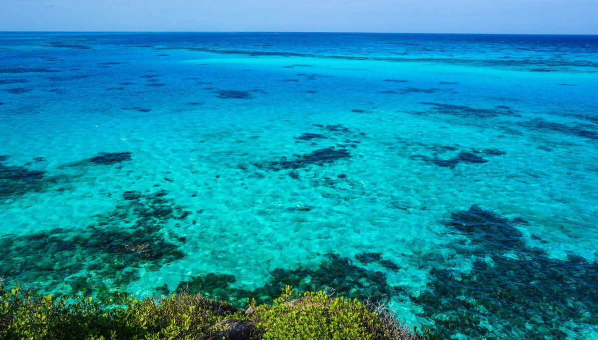 McBean Lagoon Kayak Tour - Foto 1