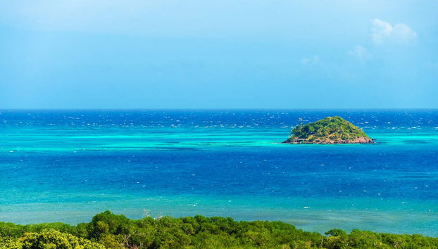 McBean Lagoon Kayak Tour - Foto 3