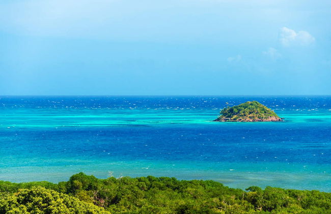McBean Lagoon Kayak Tour - Photo 3