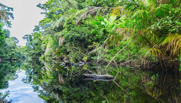 Circuito de 5, 7 o 9 días por Costa Rica - Foto 4
