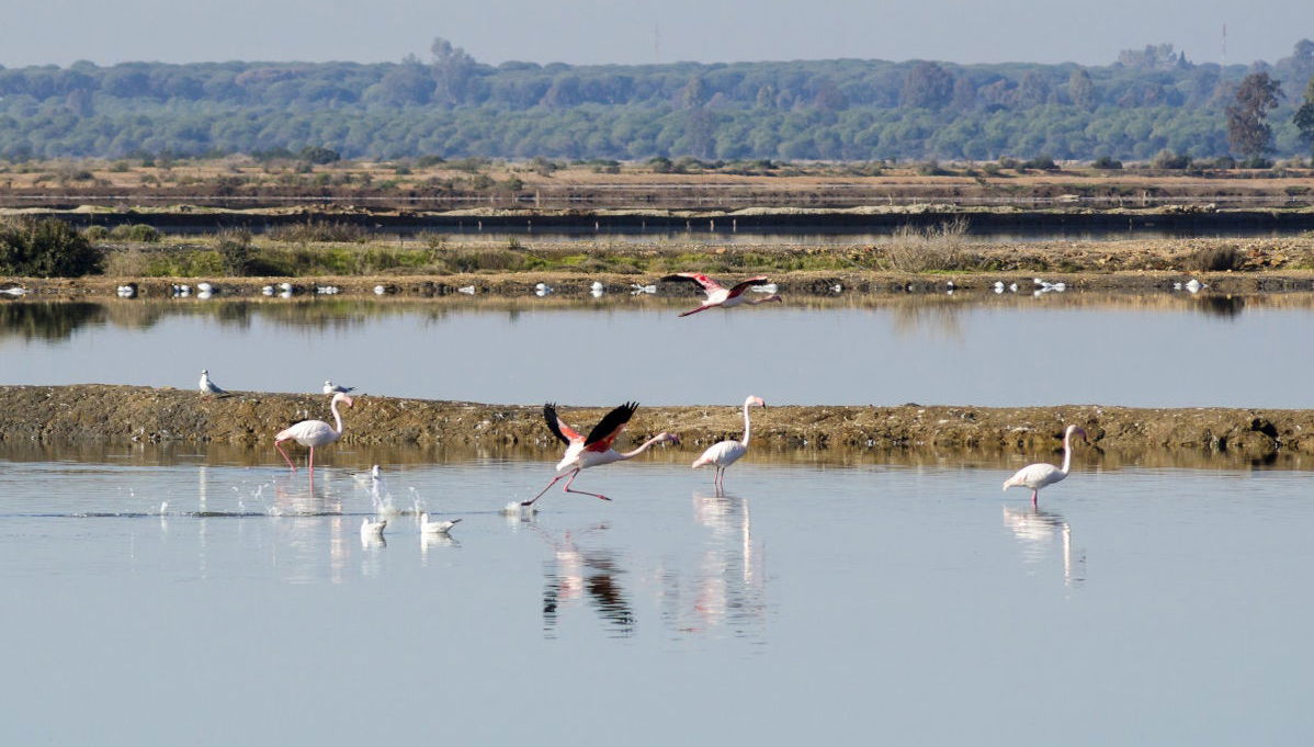 Punta Umbria Sunset Cruise - Foto 1