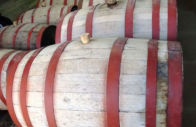 Excursión a Cascas - Foto 6