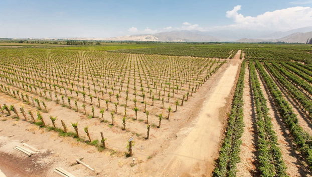 Cascas Day Trip - Foto 5