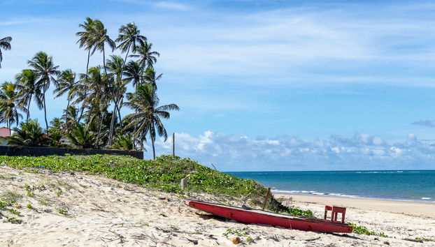 Natal Buggy Ride - Foto 2