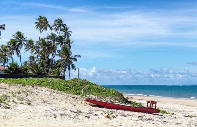 Natal Buggy Ride - Photo 2