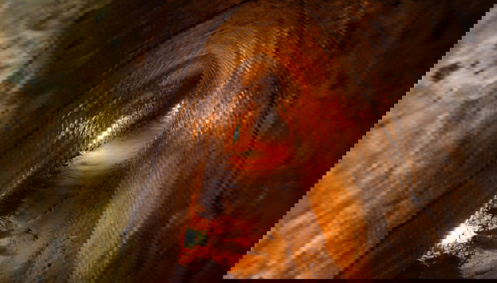 Combo Tour: Cu Chi Tunnels & Mekong Delta Day Trip - Photo 1