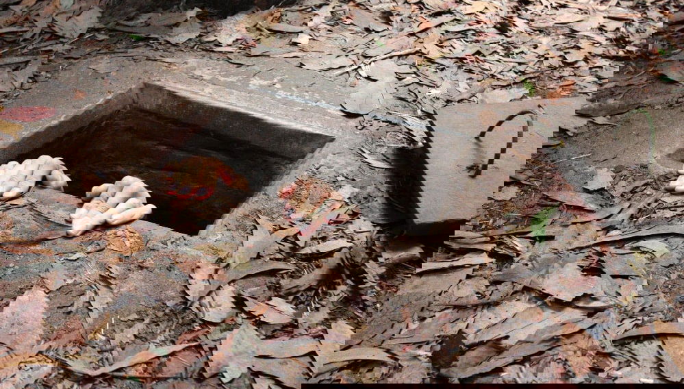 Cu Chi Tunnels Tour - Photo 1