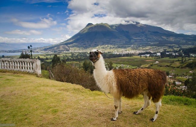 Tour privado por Quito - Foto 8