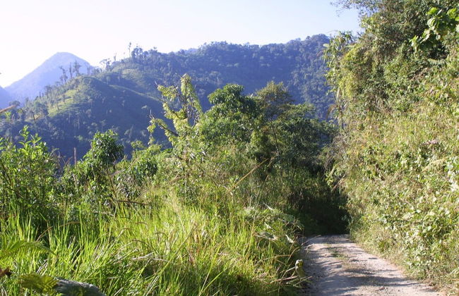 Birdwatching Activity in Tandayapa - Foto 2