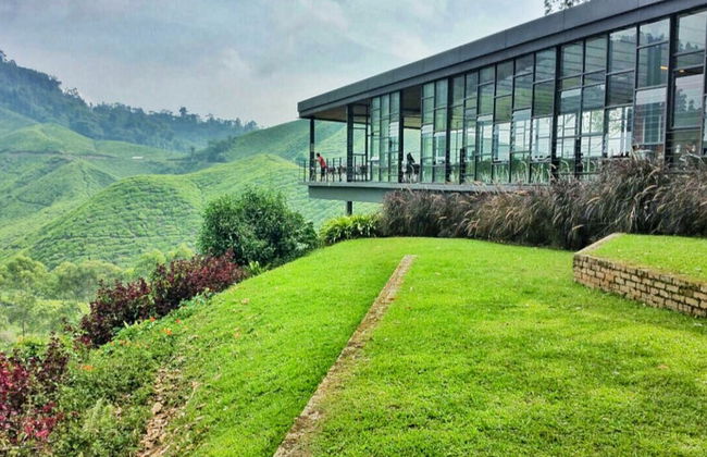 Excursion aux Cameron Highlands - Photo 3