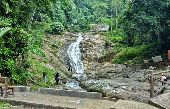 Excursion aux Cameron Highlands - Photo 4