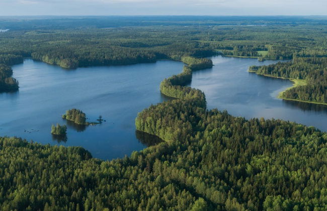 Senderismo por el Parque Nacional Liesjärvi - Foto 9