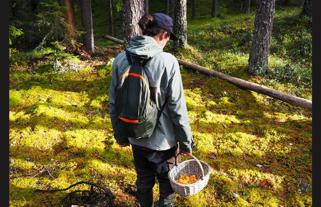 Senderismo por el Parque Nacional Liesjärvi - Foto 3