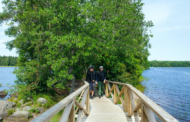 Senderismo por el Parque Nacional Liesjärvi - Foto 7