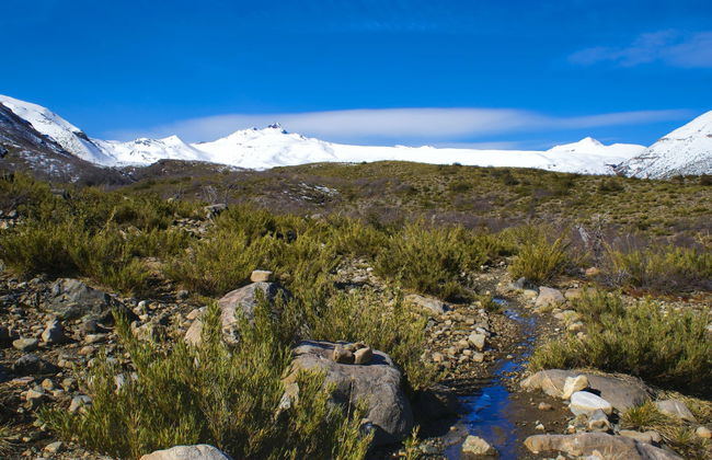 Excursion au Parc national Radal Siete Tazas - Photo 3