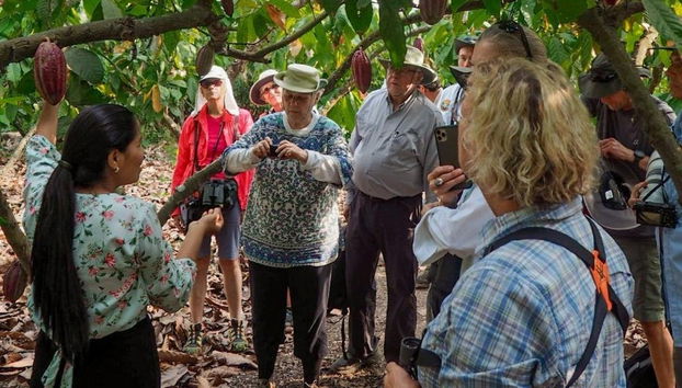 Visiting a cocoa plantation