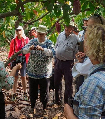 Foto de Tour del chocolate por la Hacienda Cacao y Mango