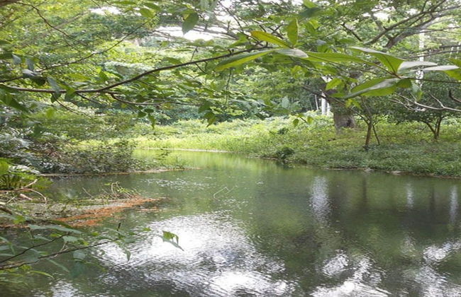 Abra de Canasi Hike + Snorkelling - Photo 4