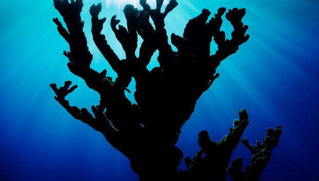 Senderismo por el Abra de Canasí + Snorkel - Foto 4