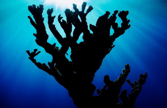 Senderismo por el Abra de Canasí + Snorkel - Foto 4