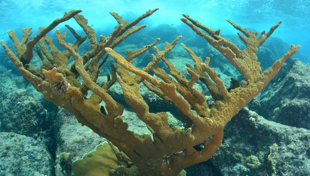 Senderismo por el Abra de Canasí + Snorkel - Foto 5