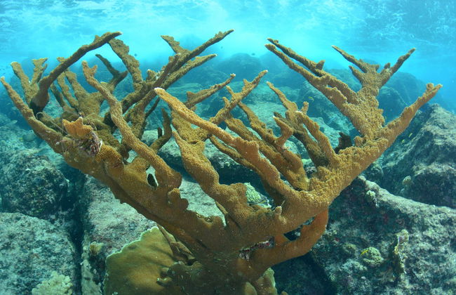 Senderismo por el Abra de Canasí + Snorkel - Foto 5