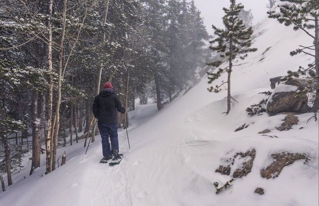 Passeio com raquetes de neve pelas Montanhas Rochosas - Foto 1