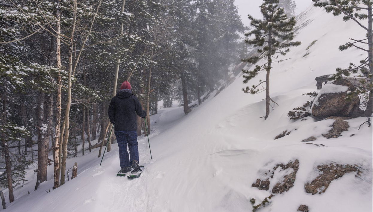 Rocky Mountains Snowshoe Tour - Photo 1