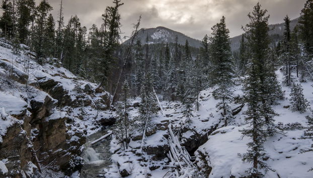 Rocky Mountains Snowshoe Tour - Photo 2