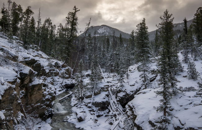 Passeio com raquetes de neve pelas Montanhas Rochosas - Foto 2