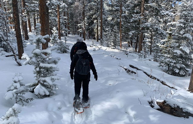 Rocky Mountains Snowshoe Tour - Photo 2
