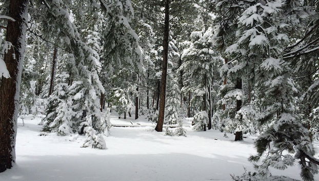 Rocky Mountains Snowshoe Tour - Photo 3