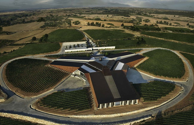 Portia Wine Cellar Tour - Foto 2