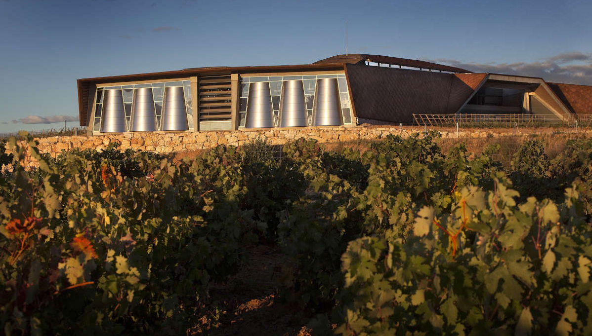 Visita alle cantine Portia - Foto 1