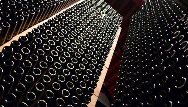 Visita às adegas Portia - Foto 4