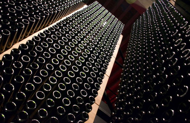 Visita às adegas Portia - Foto 4