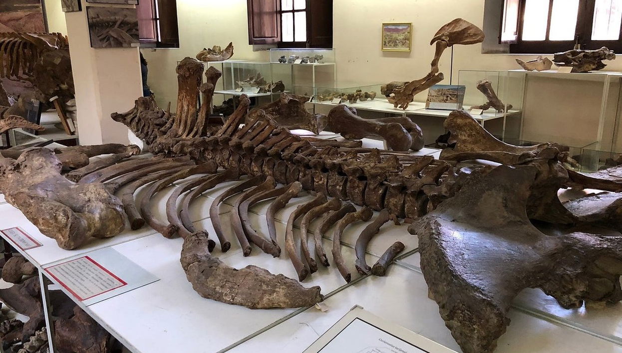 Museo Paleontológico y Arqueológico + Valle de los Gigantes - Foto 1