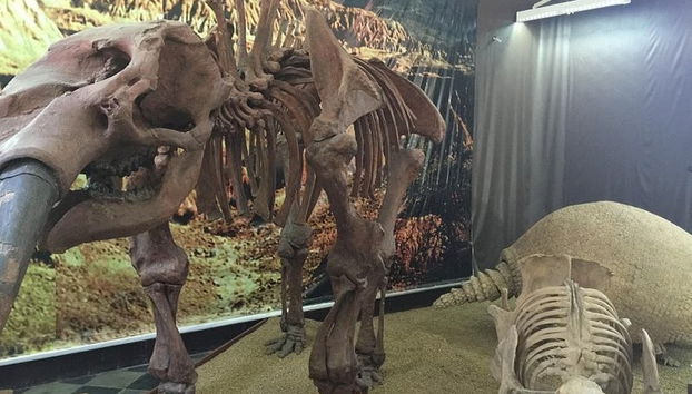 Museo Paleontológico y Arqueológico + Valle de los Gigantes - Foto 3