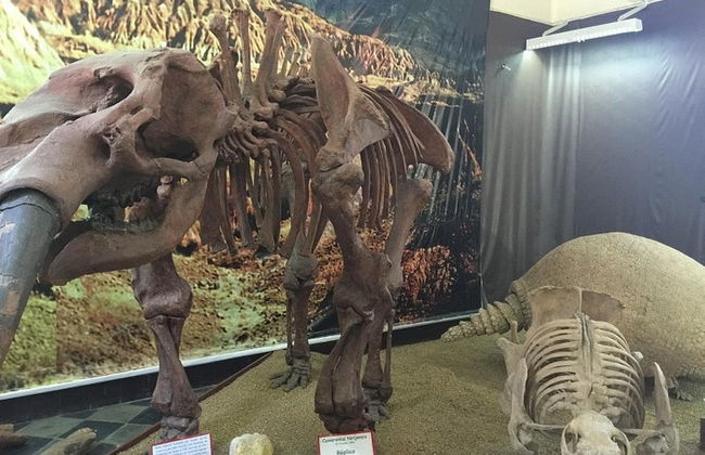 Museo Paleontológico y Arqueológico + Valle de los Gigantes - Foto 3