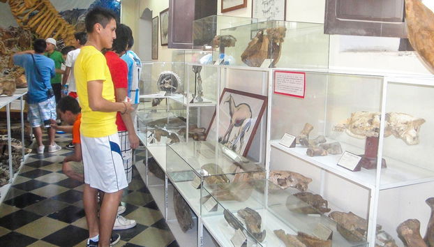 Musée Paléontologique et Archéologique + Vallée des Géants - Photo 3