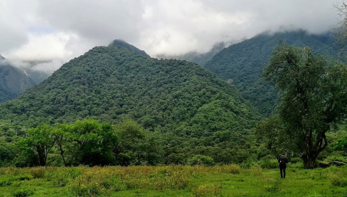 Tour de 6 días por la Reserva Nacional de Tariquía
