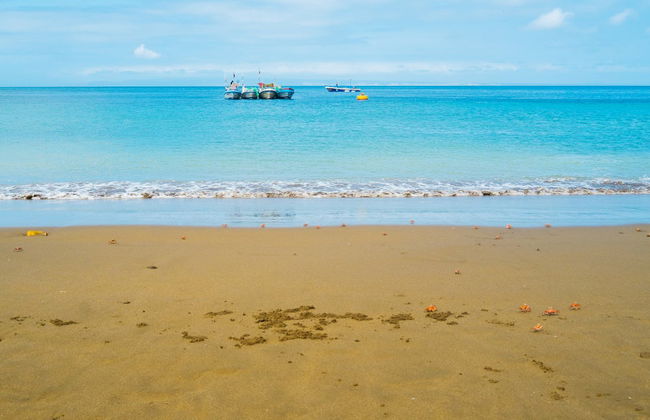 Plata Island Day Trip - Foto 1