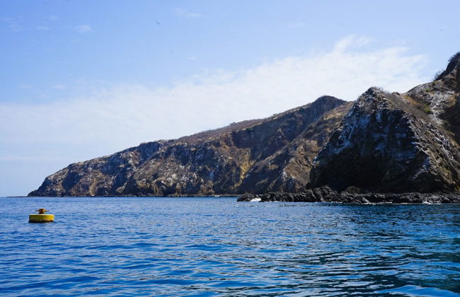 Plata Island Day Trip - Foto 7