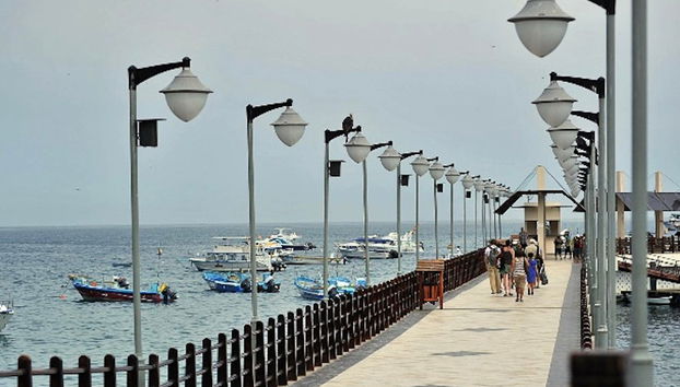 Plata Island Day Trip - Foto 2