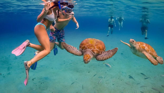 Snorkel con tortugas y mantarrayas - Foto 2