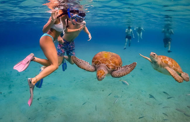 Snorkel con tortugas y mantarrayas - Foto 2